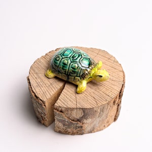 Land turtle