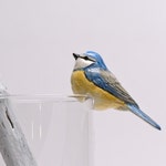 Cocktail Shakers