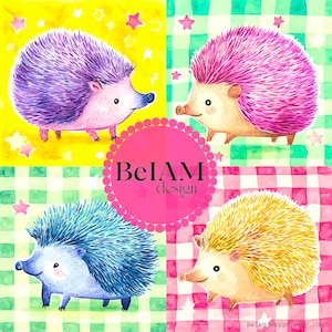 May include: Four watercolor illustrations of hedgehogs with different colored spines. The hedgehogs are on a checkered background with stars. The text "BelAM design" is in a pink circle in the center of the image.