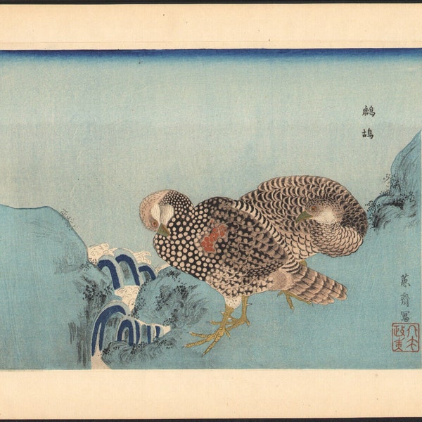 1920 Estampe japonaise Oiseaux Cailles et ruisseau Gravure sur bois Keisai Kuwagata