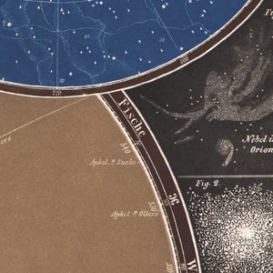 May include: A vintage star chart with a black and white illustration of the Orion Nebula. The chart is labeled "Fische" and "Nebel im Orion."