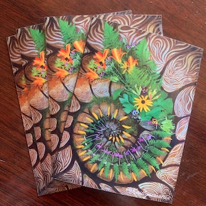 Anima Mundi ammonite spiral mandala sticker