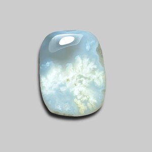 Rare Stinking Water Plume Agate Cabochon (CFS2535)
