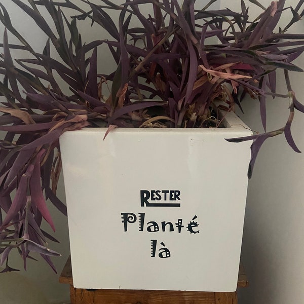 Stickers citation « Rester planté là » autocollant Waterproof , décoration pour pot de fleur intérieure/ extérieure