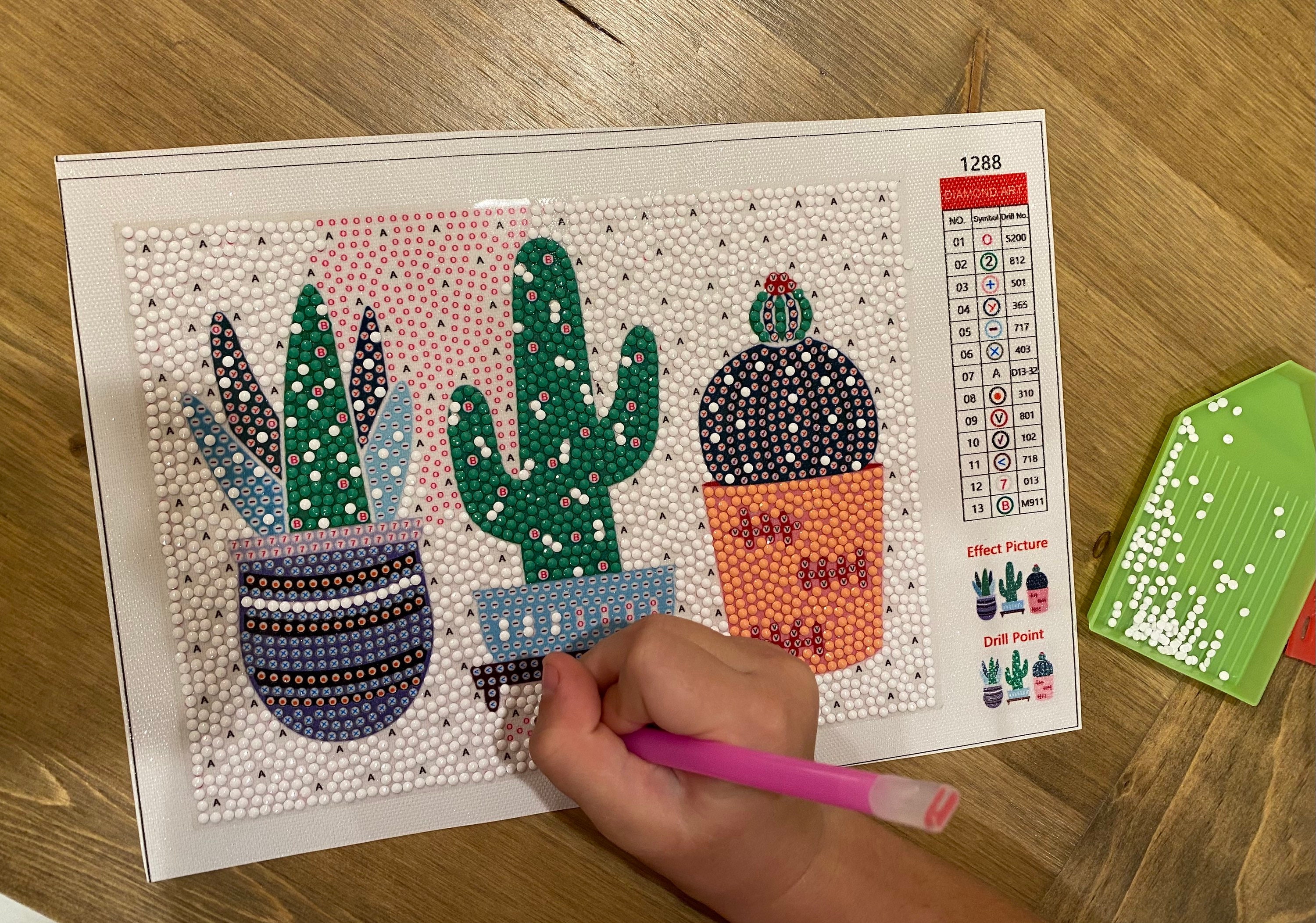 Cactus Presketched Canvas Painting Kit — Big Picture Gallery and Studio