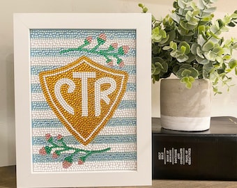 CTR Diamond Art Kit