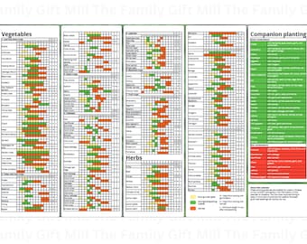 May include: A chart with a green, yellow, and red color scheme showing companion planting for vegetables and herbs. The chart lists different vegetables and herbs and indicates which plants are good companions, bad companions, and neutral companions.