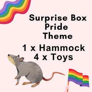 Pride Theme Rat Surprise box, Toy and Hammock set, rat mystery box, Pet Toy, hammocks, Pet Rat toy accessories rats, hamsters, mice, rainbow