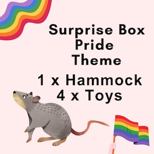 Pride Theme Surprise box, Toy and Hammock set, rat toys, rainbow