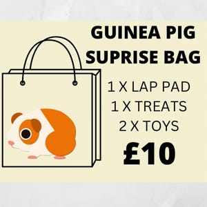 Guinea Pig Surprise Toy Set, Lap Pad, Treats