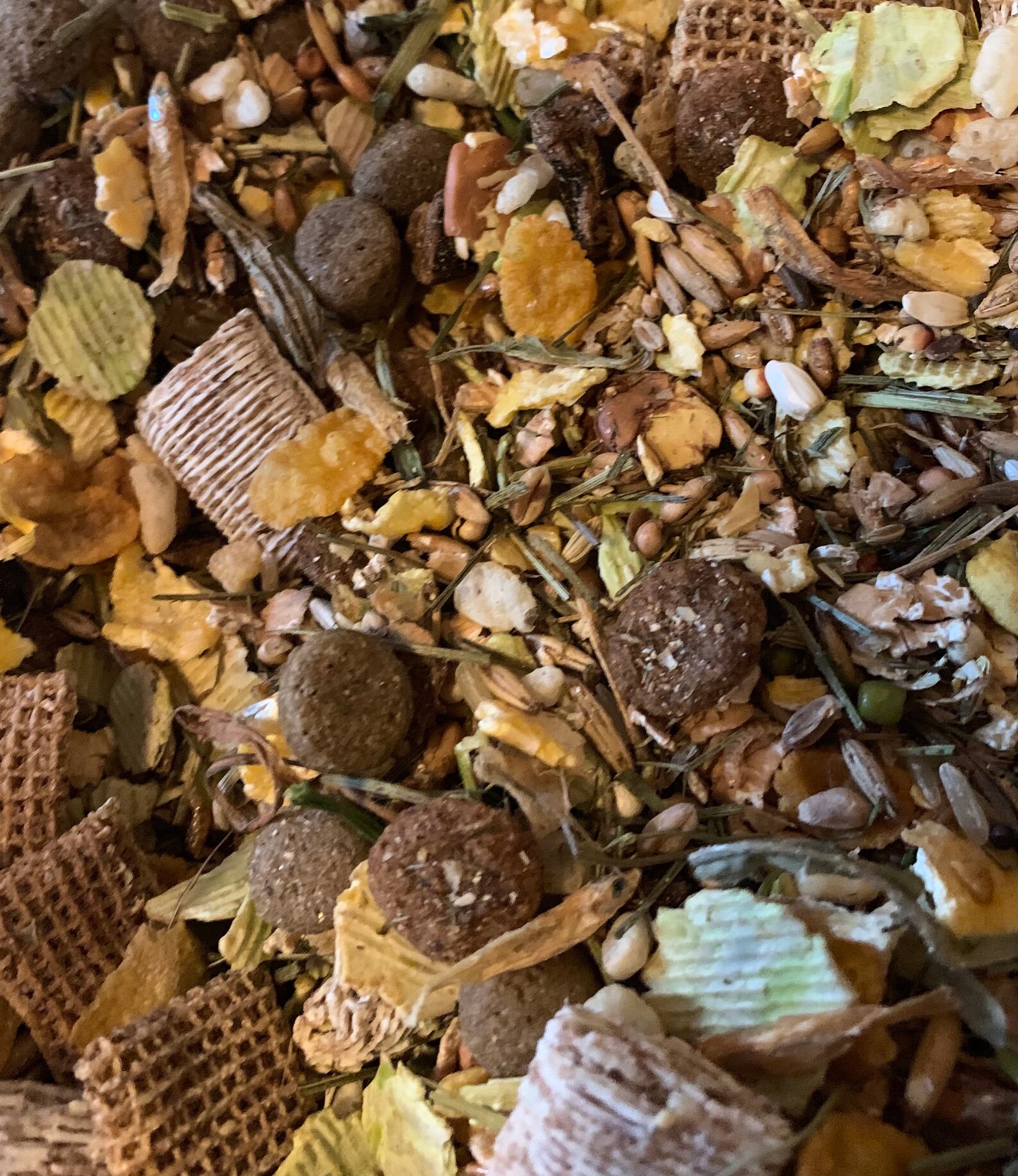 Rat Food Mix Pet Food Based on the Shunamite Diet Etsy UK