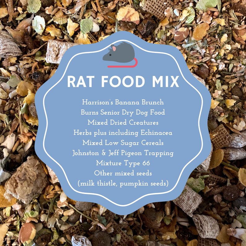 Rat Food Mix Pet Food Based on the Shunamite Diet Etsy