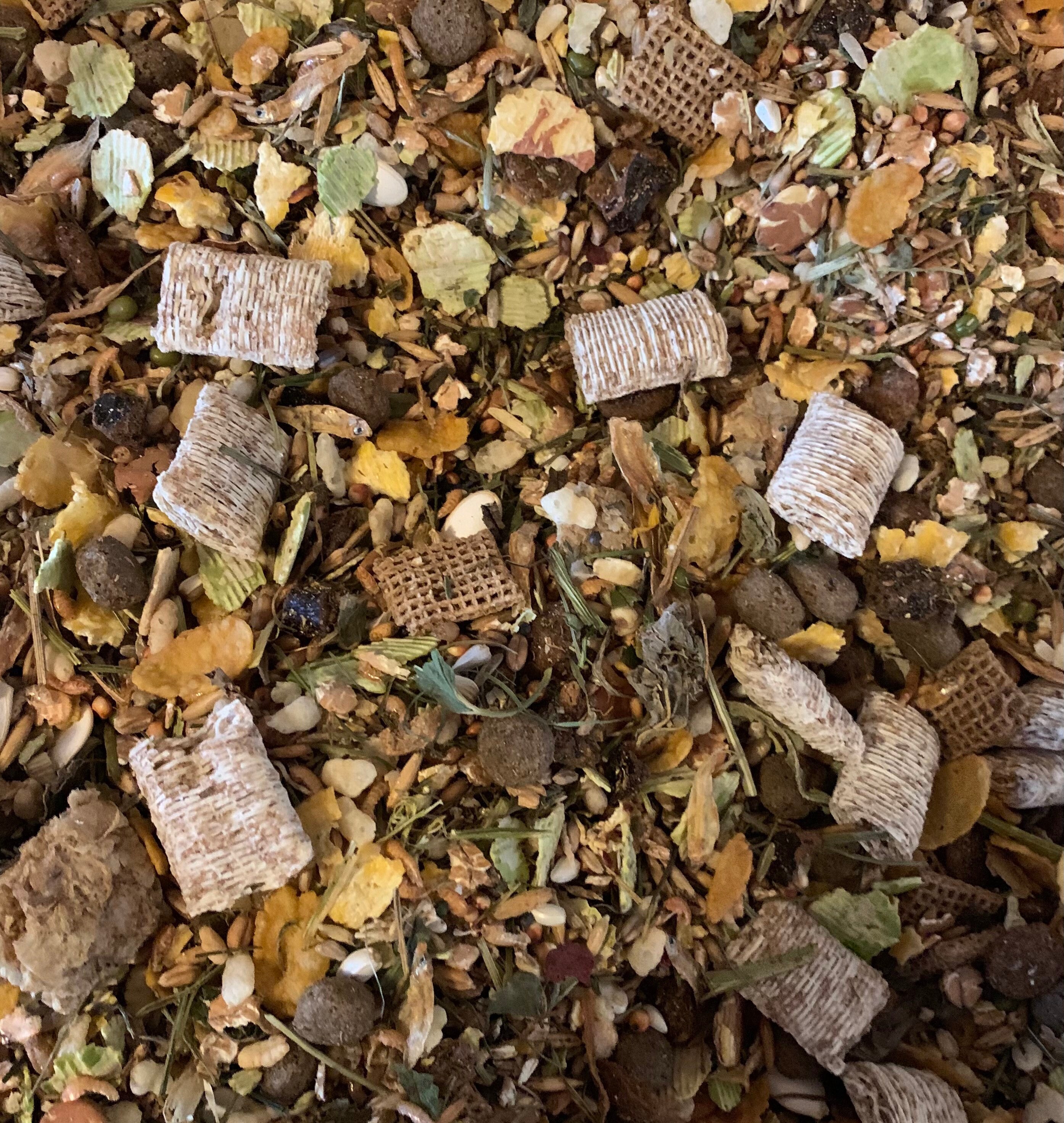 Rat Food Mix Pet Food Based on the Shunamite Diet Etsy UK