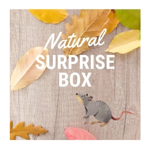 Natural Rat Surprise box Toy and Hammock set, rat box, Pet Toy, hammocks, Pet Rat toy accessories rats, hamsters, gerbils, mice