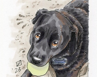Custom Illustrated Pet Portrait -- 1 animal