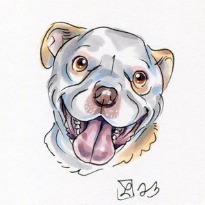 Custom Illustrated Pet Sketch -- Simple Portrait