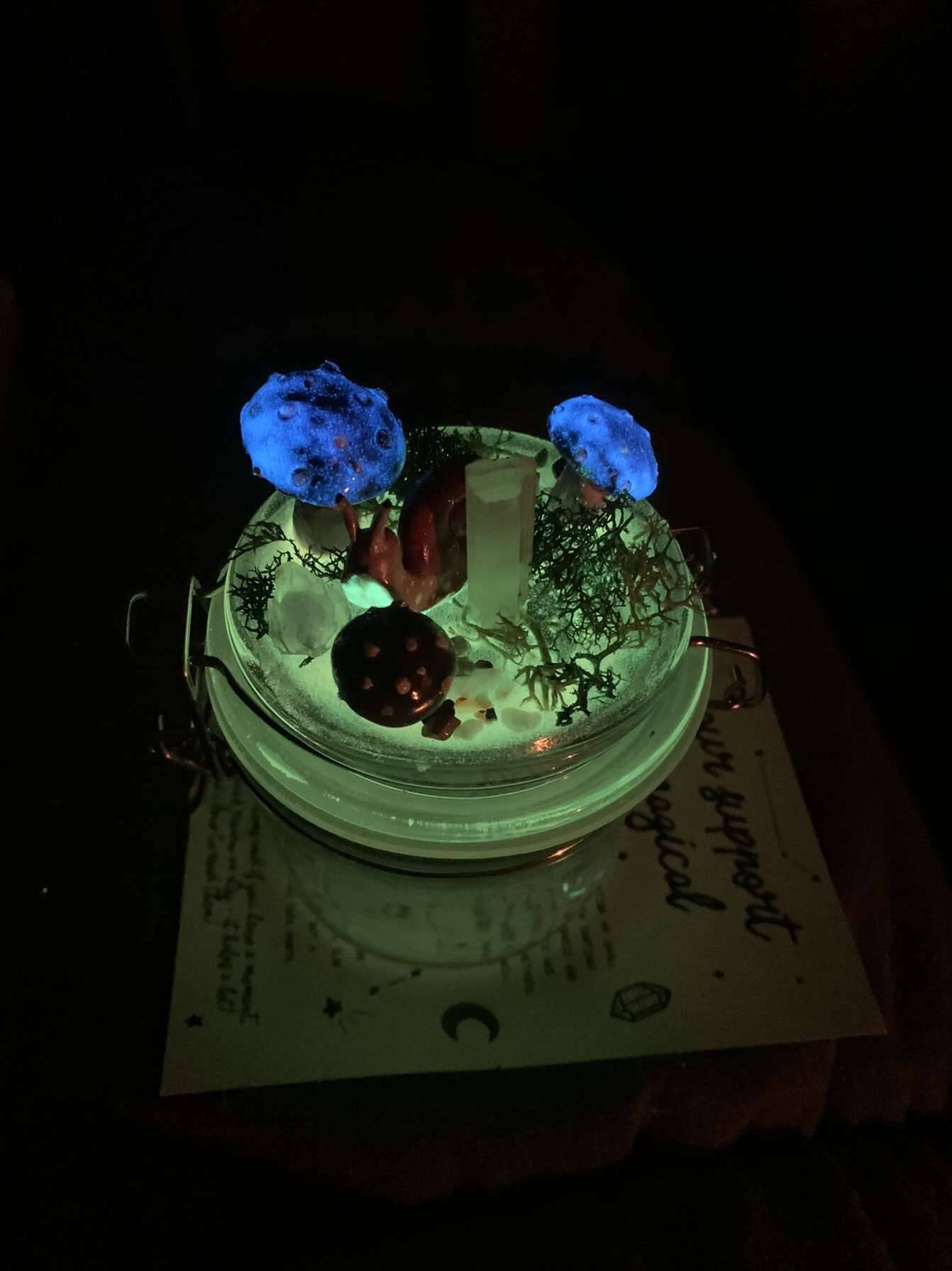 Custom Mushroom Stash Jar Large Etsy