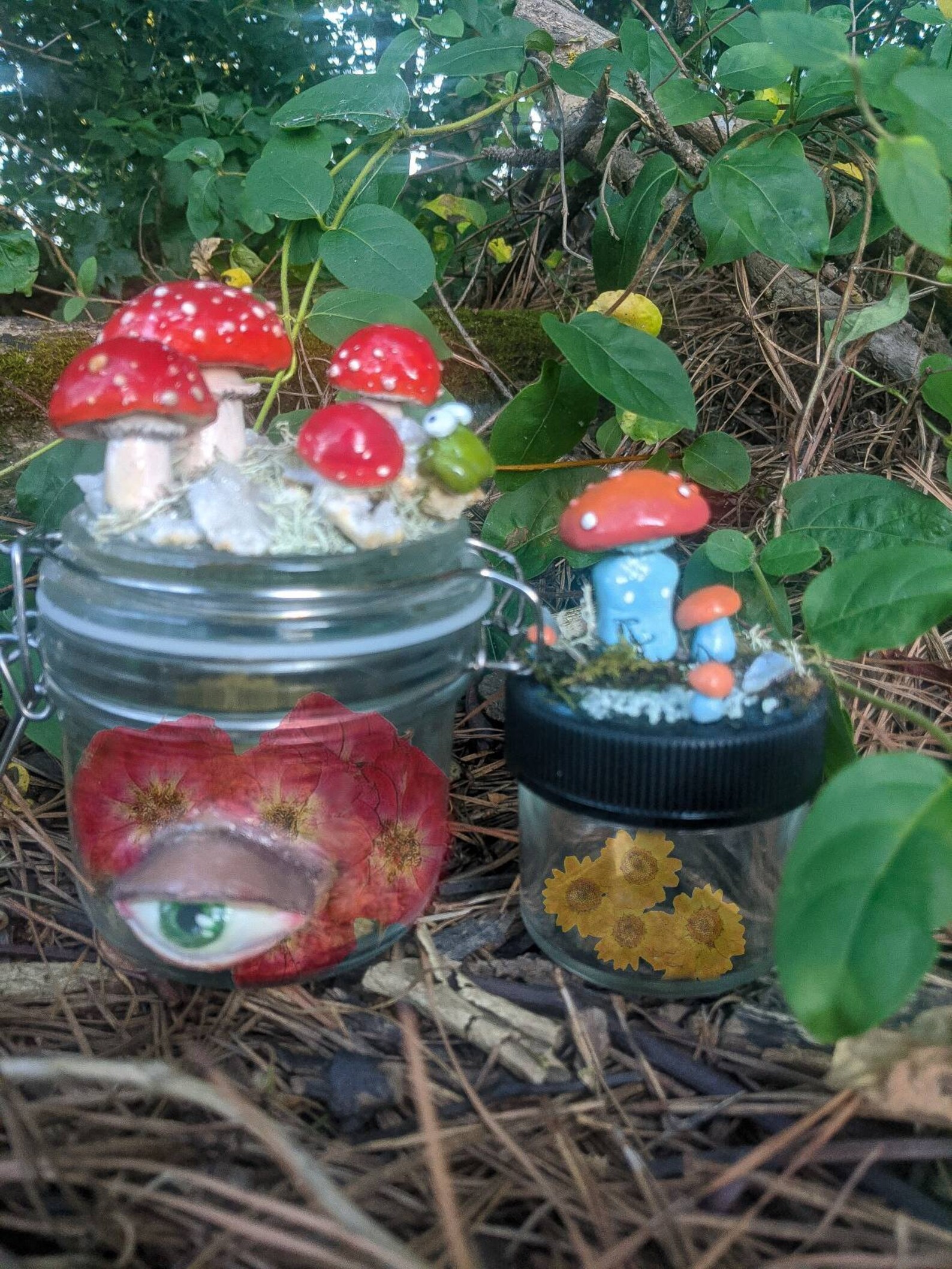 Custom Mushroom Stash Jar Large Etsy