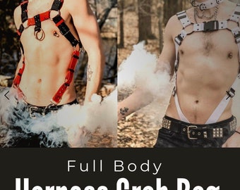 Full Body Harness Grab Bag