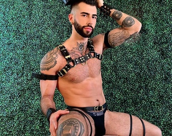 Custom Made Leather Harness