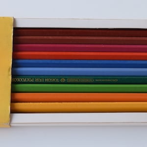 Op de afbeelding: Een doos met 10 kleurpotloden, met een bloemenontwerp aan de voorkant. De potloden zijn gerangschikt in een regenboogpatroon, met de kleuren rood, oranje, geel, groen, blauw en paars. De doos is gelabeld met "CRAYONS VINICI" en "TOISON D'OR POLYCOLOR".