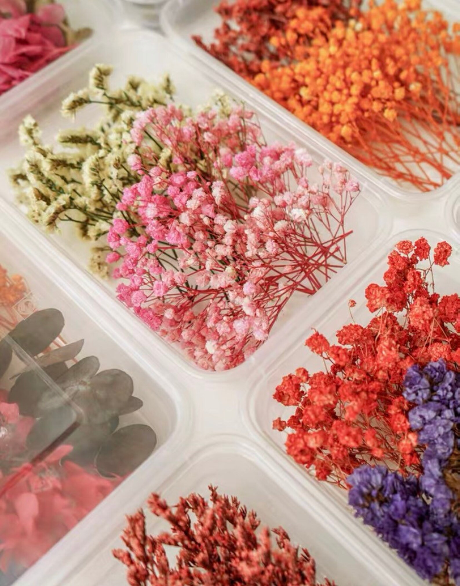 Dry flowers decoration random packs Décoration de fleurs Etsy