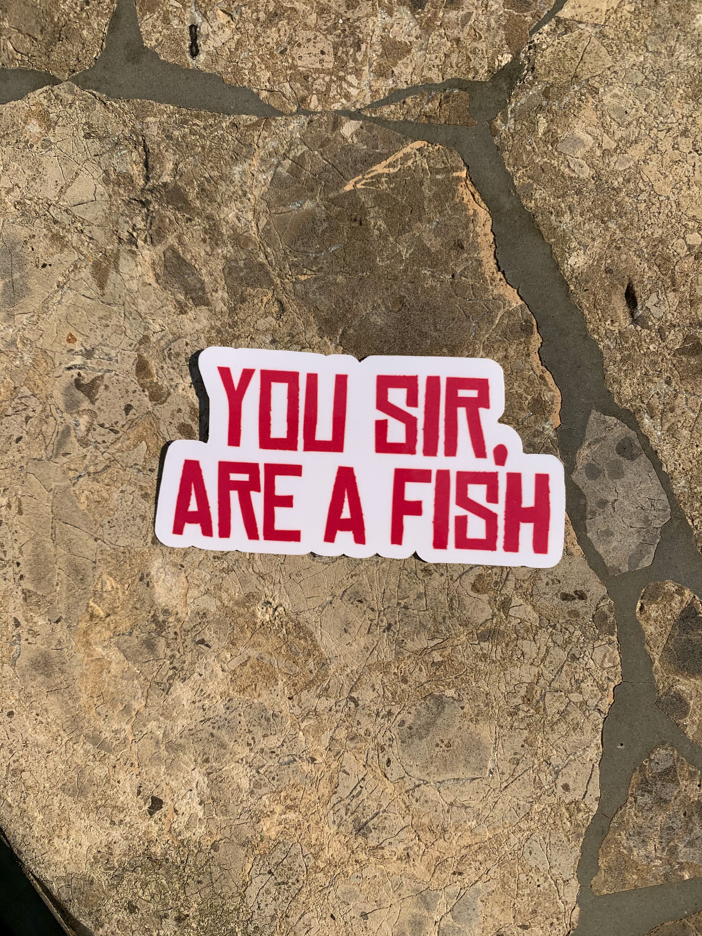 You Sir, Are a Fish Sticker - Cowboy Inspired