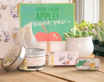 You're A Good Apple. Teacher Appreciation Gifts. Succulent Gift Box. Thank You Gift Box. Natural Succulent & Cozy Candle.