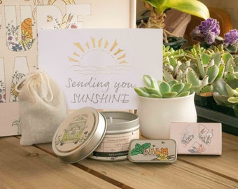 Sending You Sunshine. Thinking of You Care Package. Succulent Gift Box. Care Package for Friend or Sister. Relaxing Cozy Candle.