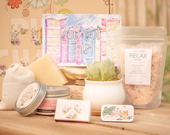 You Got This. Quarantine Gift Box. Thinking of You Care Package. Succulent Gift Box.Care Package for Friend. Happy Vibes Only