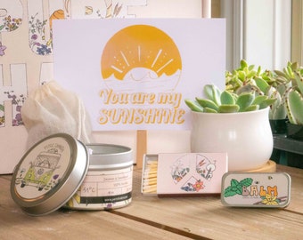 You Are My Sunshine. Succulent Gift Box. Thinking of You Care Package. Peace Love Sunshine. Natural Succulent & Cozy Candle.