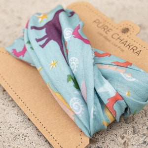 May include: A blue fabric headband with a dinosaur print and the text "PURE CHAKRA Live Mind, Live Free".