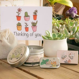 Thinking of You Care Package. Succulent Gift Box. Self Care Quarantine Gift Box. Care Package for Friend or Sister. Relaxing Cozy Candle.