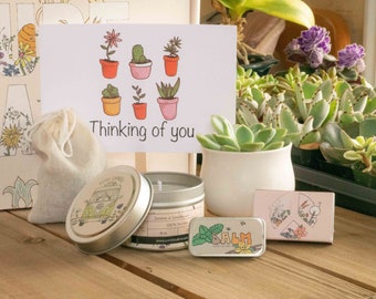 Thinking of You Care Package. Succulent Gift Box. Self Care Quarantine Gift Box. Care Package for Friend or Sister. Relaxing Cozy Candle.