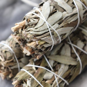 Yerba Santa Natural 4&quot; Smudge Stick- Smudging For Aromatherapy, Meditation, Relaxation