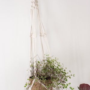 Calathea White Macrame Plant Hanger - Air Plant Holder - Plant Hanger Indoor - Macrame Plant Holder