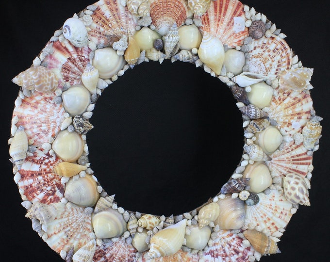 Seashell Wreath w/ Colorful Scallop Shells