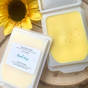 Jours de plage la cire de soja de luxe fond - très parfumé, coquille de cœur 80 grammes.