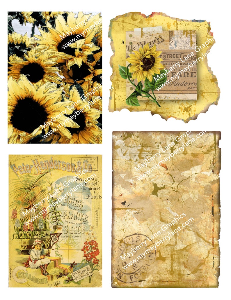 Sunflower Ephemera Pack 1 | Etsy
