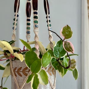May include: A macrame plant hanger featuring cream-colored cord, dark brown wooden beads, and smaller multi-colored beads. It holds a speckled ceramic pot with a brown leaf pattern, containing a Hoya plant with variegated green and pink leaves.