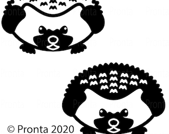 Hedgehog