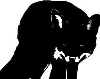 Black Fox