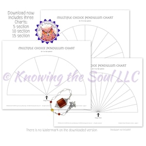 Druckbare Multiple-Choice-Pendel-Charts (digitaler Download) - Enthält jetzt 3 Charts!