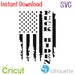 Instant Download - SVG - FUCK BIDEN - Distressed Flag