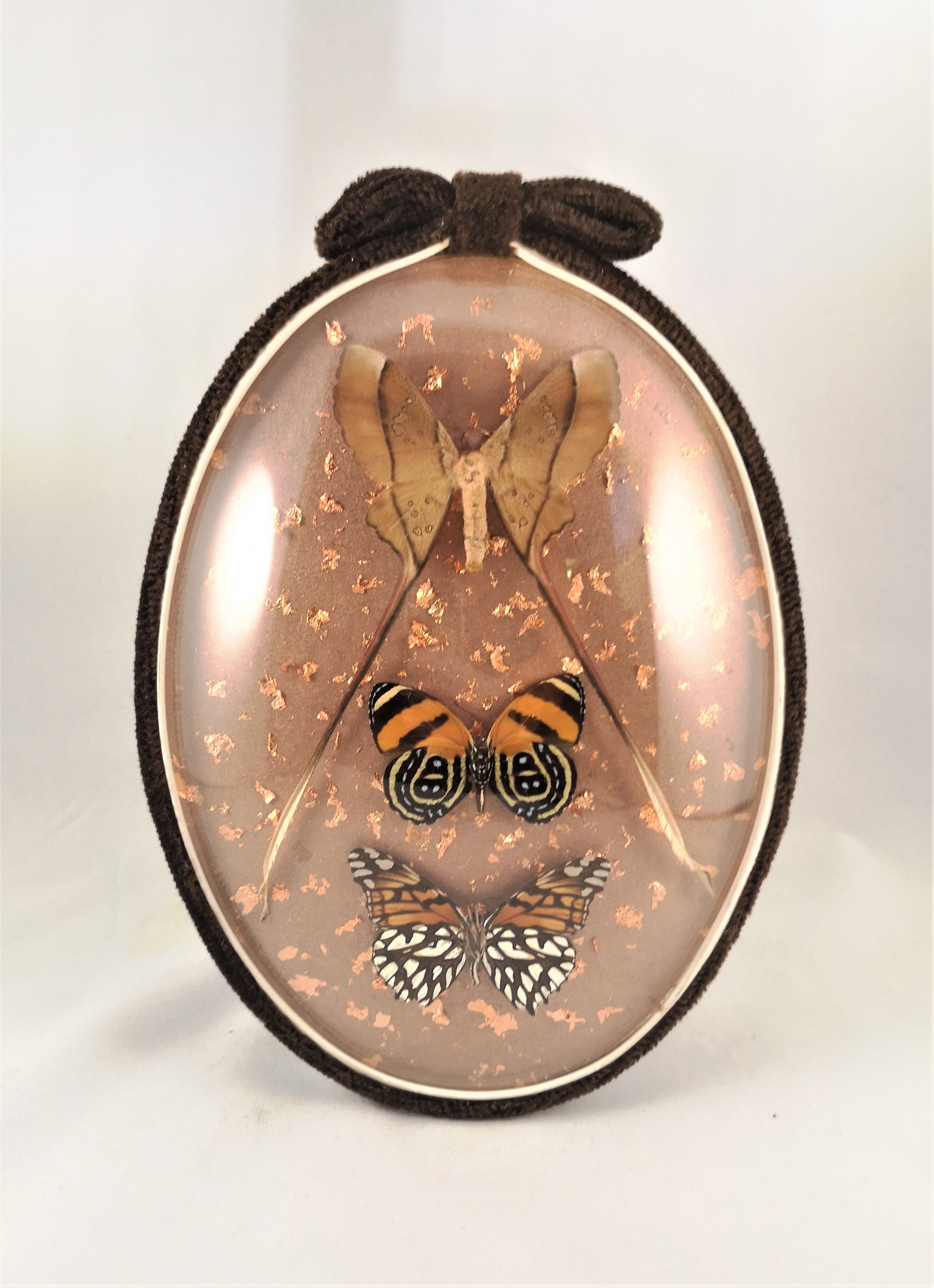 Papillons Sous Cadre Ovale Copper