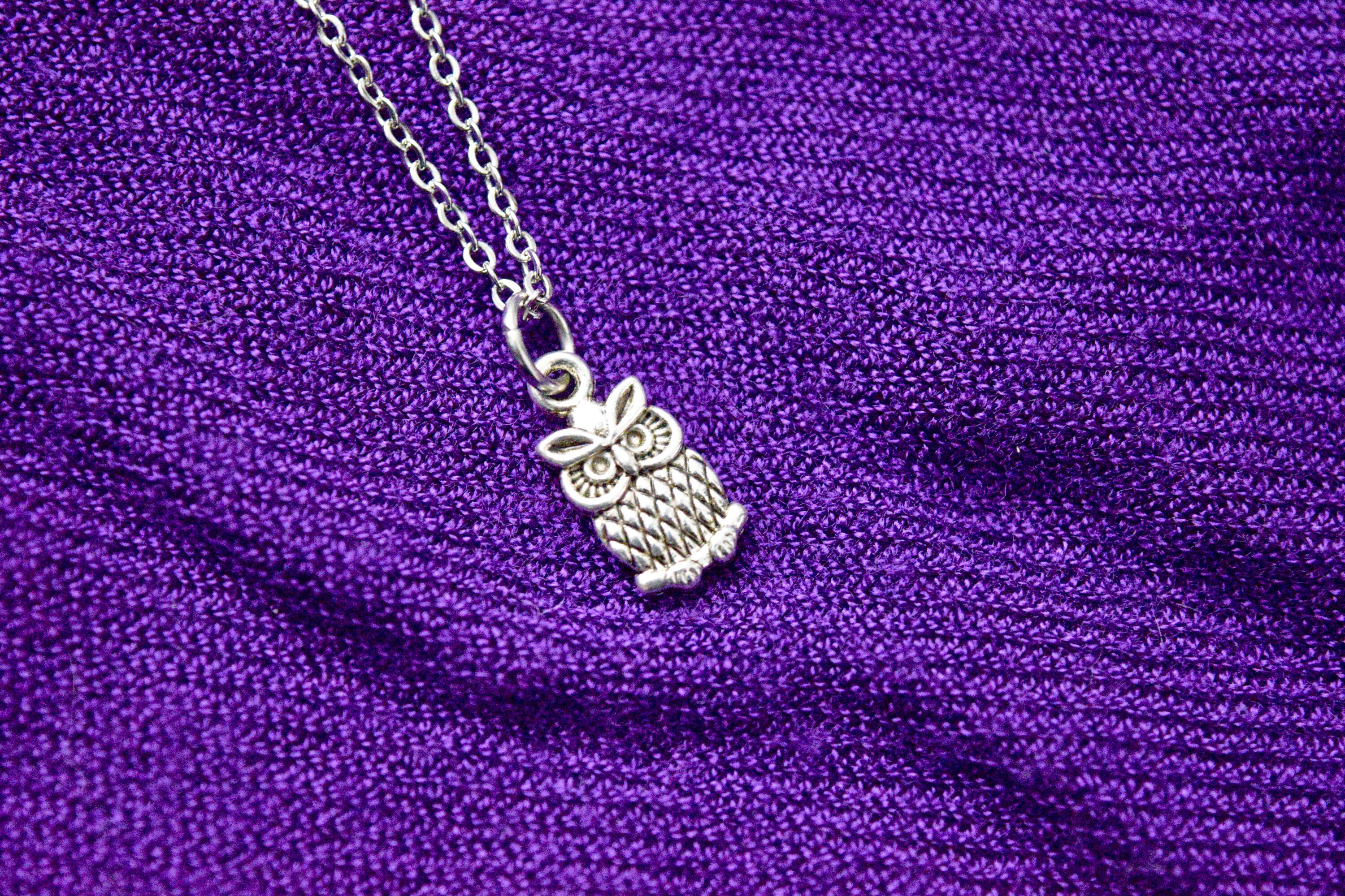 Owl Charm Stainless Steel Necklace - Simple and Adorable - Choose Your Own Length!