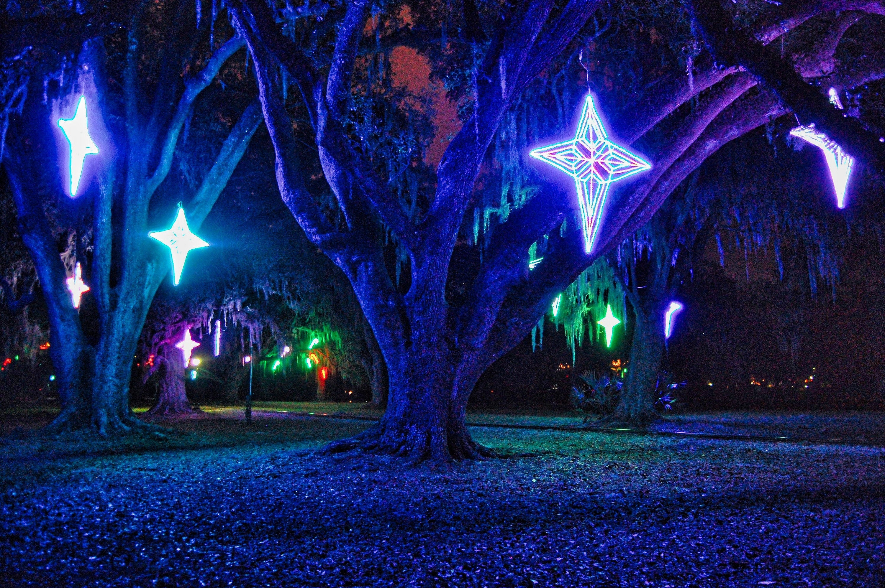 Glowing Christmas Star Lights City Park New Orleans Photography Print