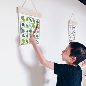 Leaf Identification Printable | Homeschool Decor | Homeschool Printable