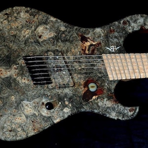 Bergfels Nordwind 7 String Fanned Frets with Buckeye Burl Top!
