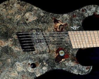 Bergfels Nordwind 7 String Fanned Frets with Buckeye Burl Top!